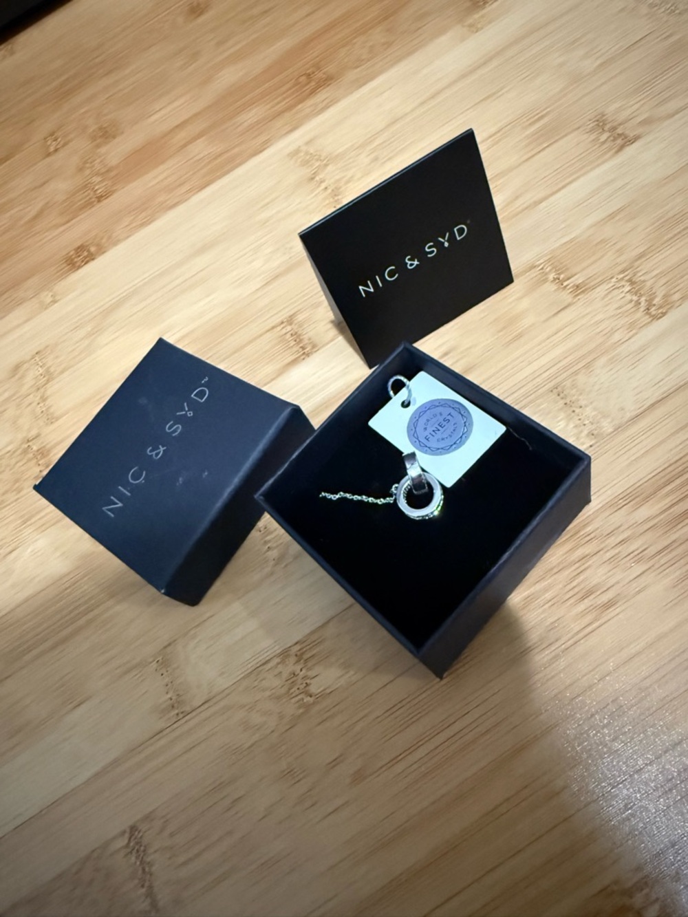 Nic and Syd Aritzia Necklace - Picture 6 of 6